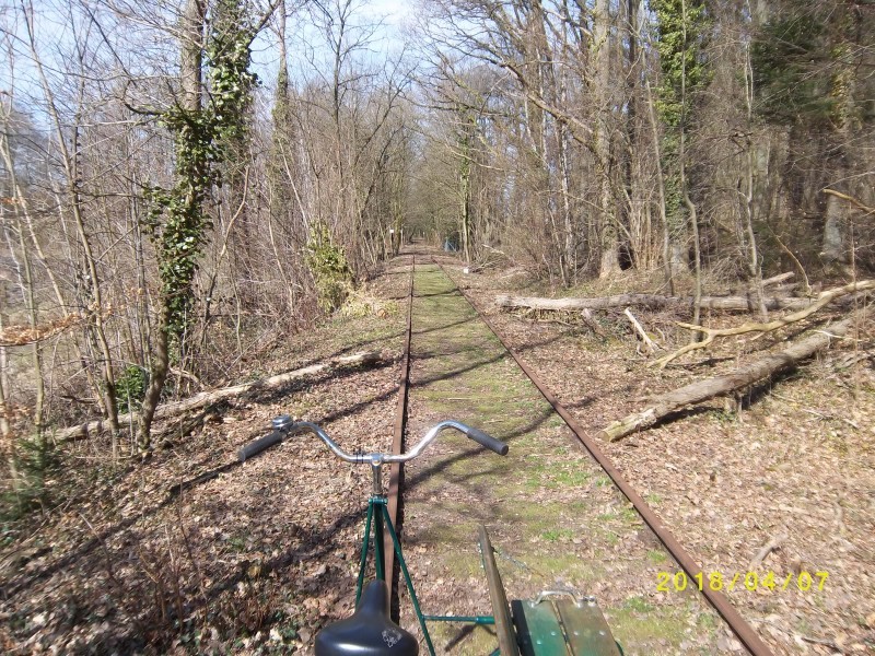 ZWNEGI31